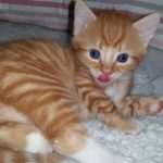 13340752_1340286075998031_274794536_o