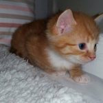 13351075_1340286099331362_430469583_o