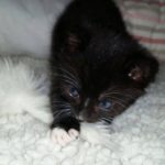 13383785_1340286095998029_1459709165_o