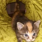 13389240_1340286069331365_1967749603_o