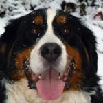 2010-12-31_marlon_1_vorschau