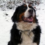 2010-12-31_marlon_2_vorschau