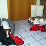 2011_06_13_astor_jimmi00