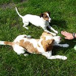 2011_06_13_astor_jimmi01