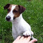 2011_06_13_astor_jimmi02