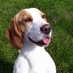 2011_06_13_astor_jimmi03