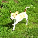 2011_06_13_astor_jimmi05