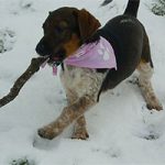 2011_07_25_gunda_shela_00