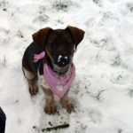 2011_07_25_gunda_shela_01