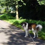 2012_10_07_trigger00