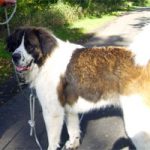 2012_10_07_trigger01