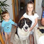 2012_10_07_trigger04