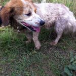 2012_10_18_sparrow02