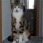 2013_03_26_frieder01