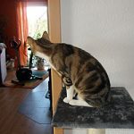 2013_03_26_frieder02