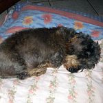 2013_05_098_rackel02