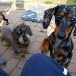 2013_05_098_rackel06