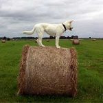 2013_07_12_cinderella00