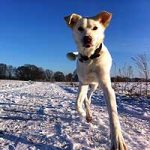 2013_07_12_cinderella02