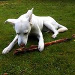 2013_07_12_cinderella04