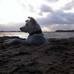 2013_07_12_cinderella05