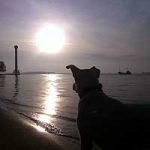 2013_07_12_cinderella06