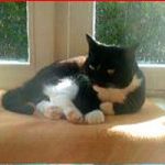 2013_11_18_cordelia01