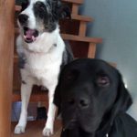 2013_11_28_lasko03pg