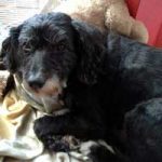 2014_09_10_lehmann00