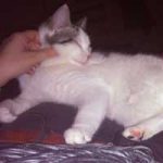 2015_01_habika01