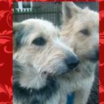 2015_01_hanni_nanni00