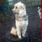 2015_01_hanni_nanni03