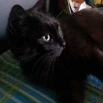 2015_07_12_charline03