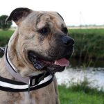 2015_09_30_friedrich01