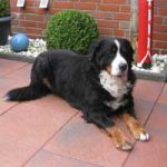 2015_12_alex_buddy00