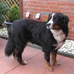 2015_12_alex_buddy01