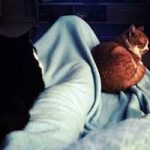 2015_combi_cloudine03