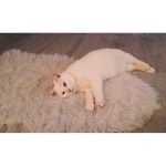 Fina aka White Mama 3