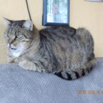 Leefke (FILEminimizer)