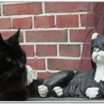 Moni vorne mit Rahmen