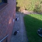 WP_20160224_16_15_01_Pro