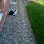 WP_20160224_16_17_09_Pro