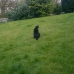 WP_20160412_19_50_36_Pro