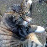 2015_09_13_kater_jaeckson00