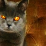 Anastasia 18.05.16 1