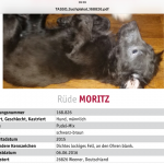 Moritz