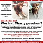 vermisst-charly
