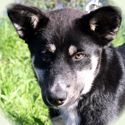 2010-07-akila
