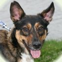 2010-09-ginger