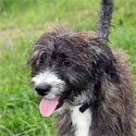 2011_07_lennox